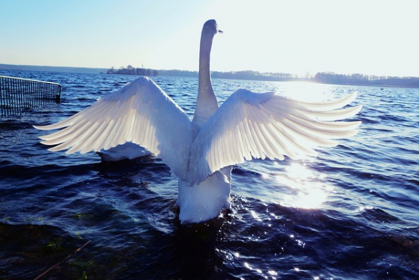 In the era of software-defined cars, whe...