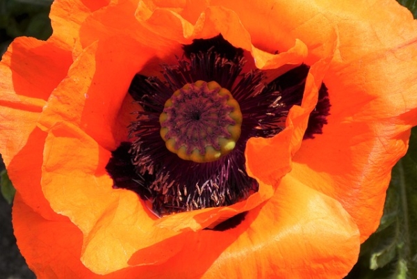 In the era of software-defined cars, whe...